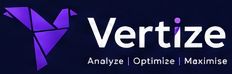 Vertize google-ads-expert-india